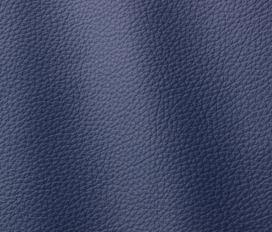 541violet-blue-atlantic